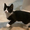 Ceres