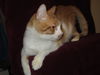 Rudy
