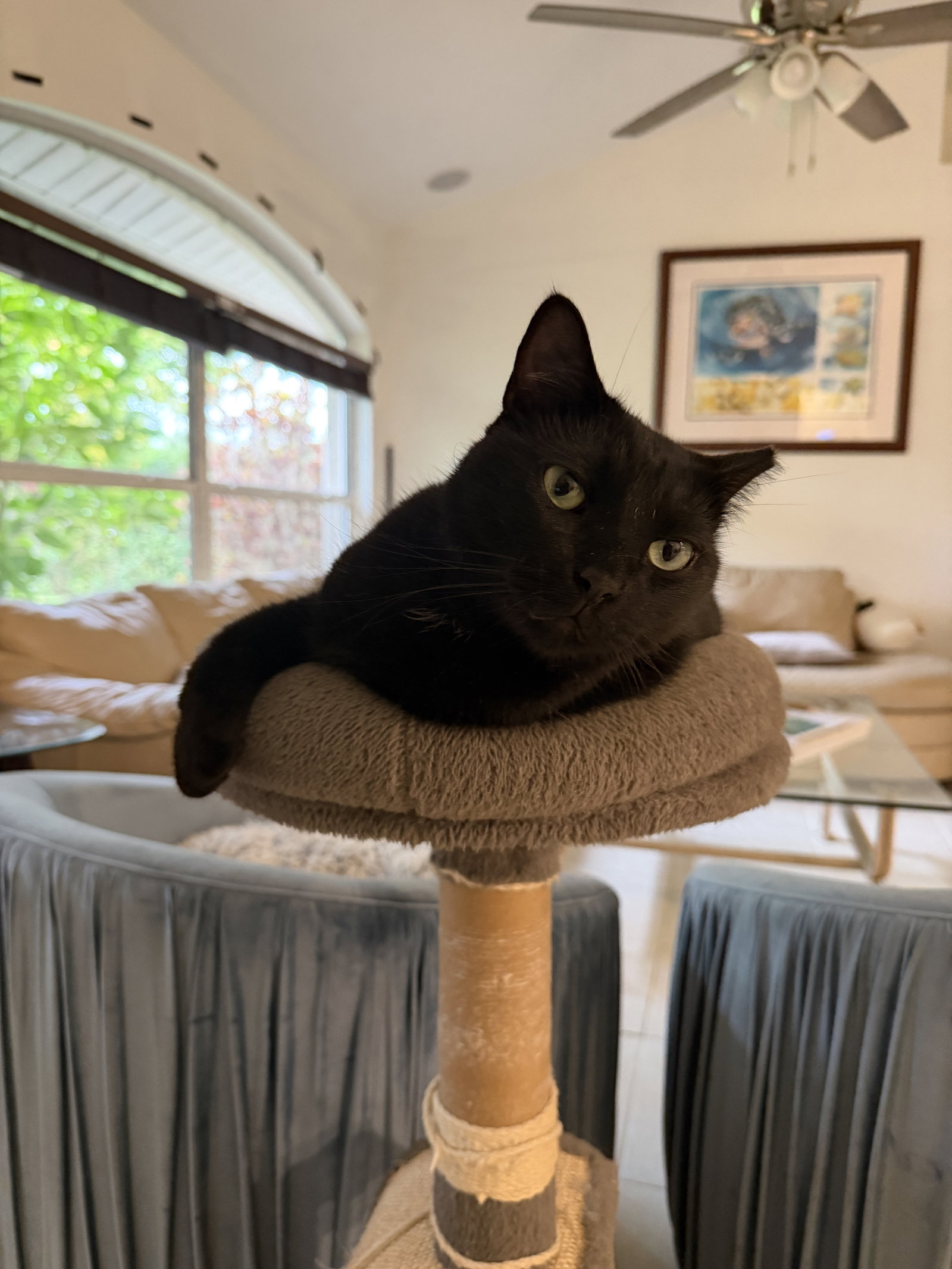 Captain Ozzy, photo 8