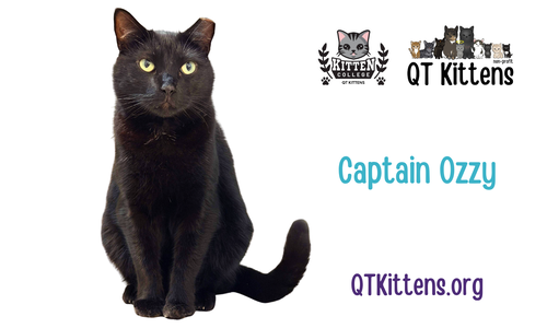 Captain Ozzy photo 2