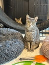 Indy - Photo 22