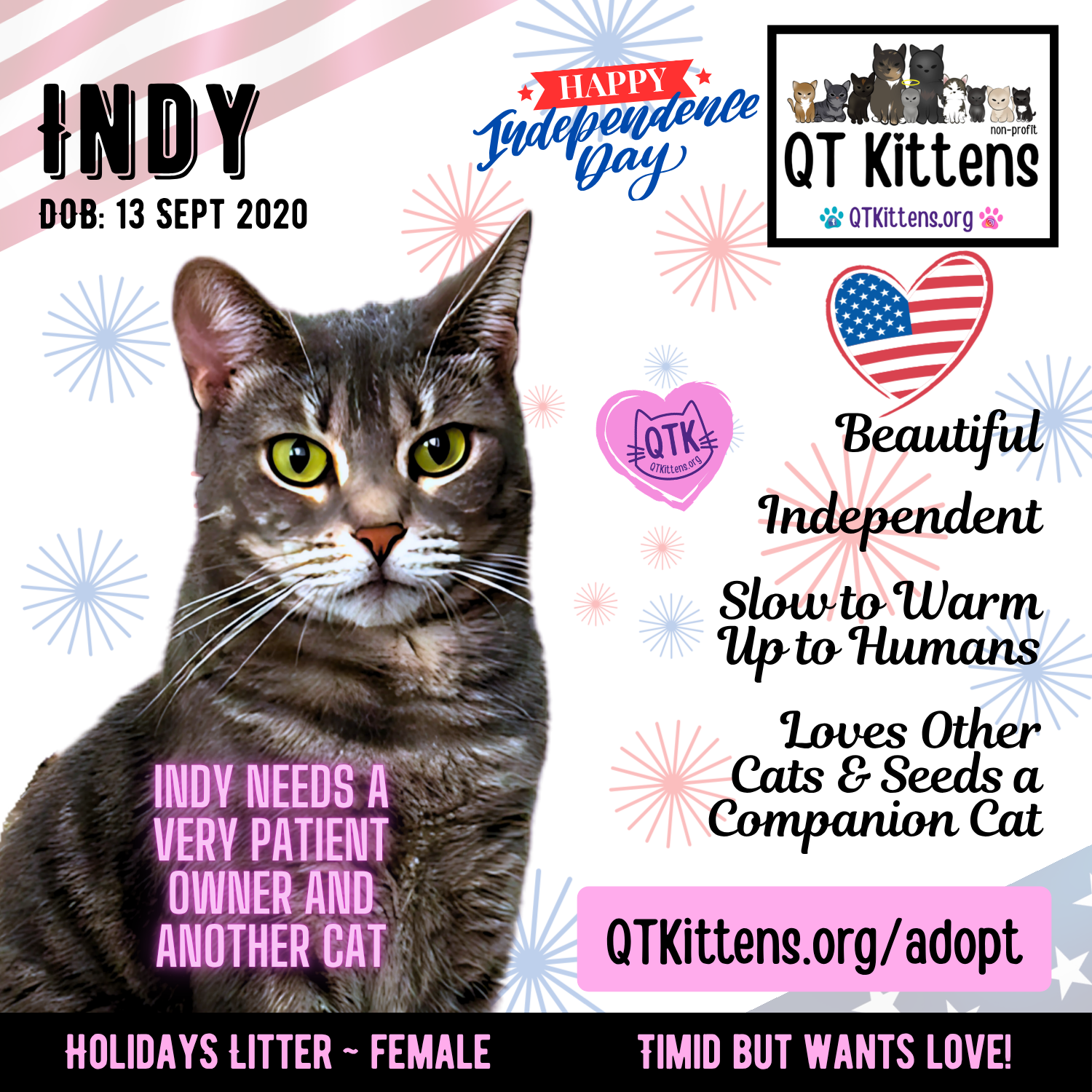Indy, photo 18