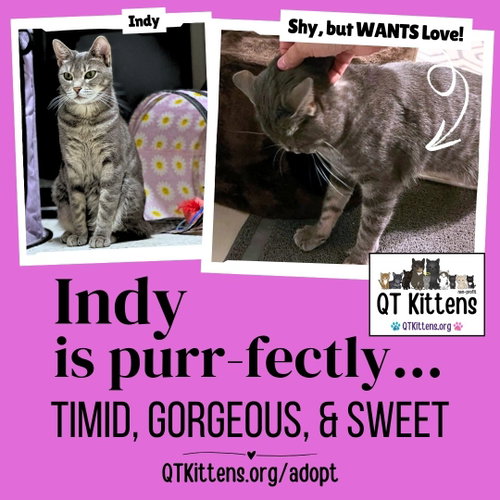 Indy photo 10