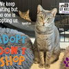 Indy - Photo 24