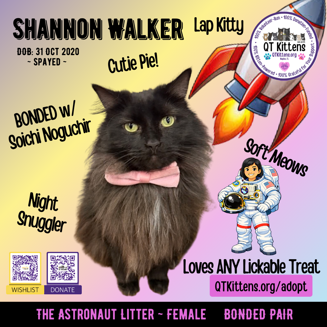 Shannon Walker (Bonded with Soichi Noguchi)