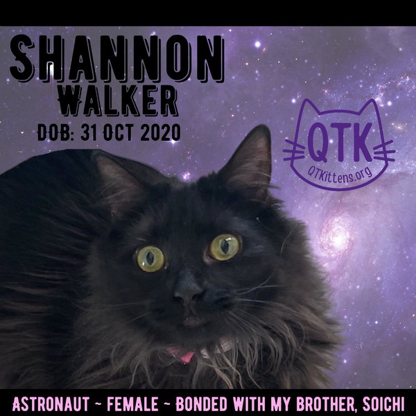 Shannon Walker (Bonded with Soichi Noguchi)