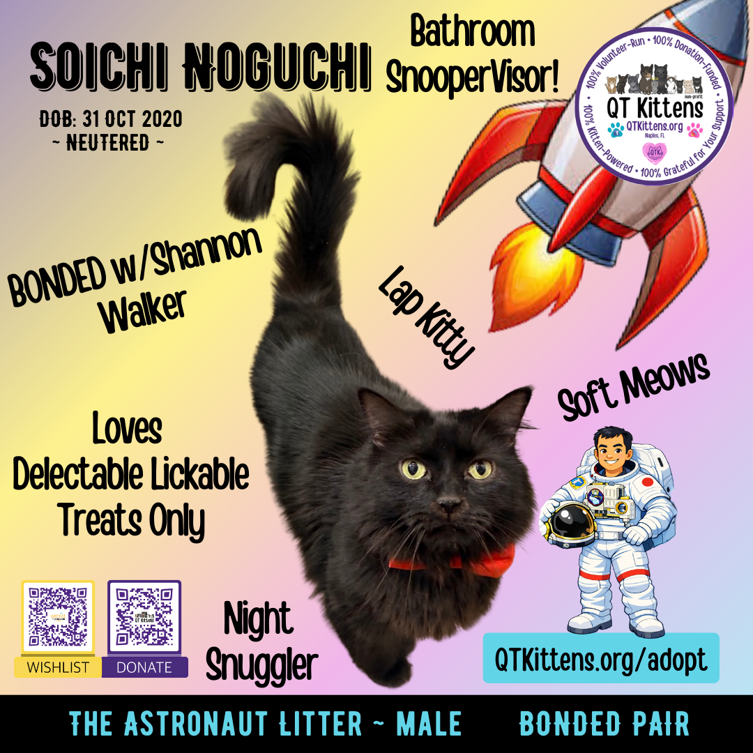 Soichi Noguchi (Bonded with Shannon Walker)