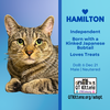 Hamilton - Photo 17