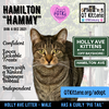 Hamilton - Photo 21