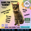 Hamilton - Photo 11