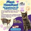 Hamilton - Photo 15