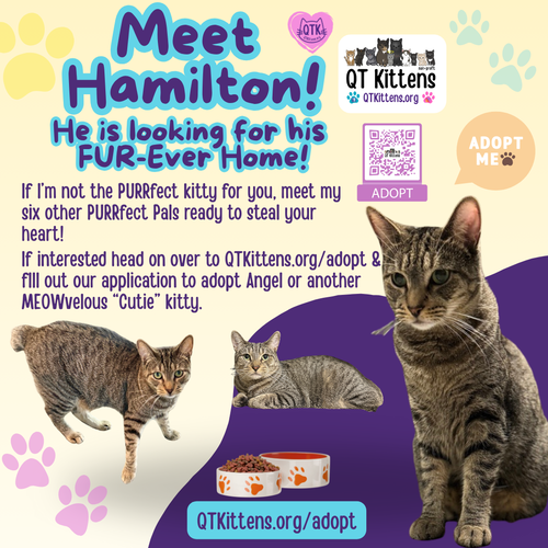 Hamilton photo 22
