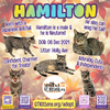 Hamilton - Photo 3