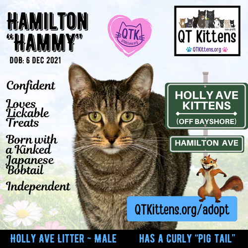 Hamilton photo 16