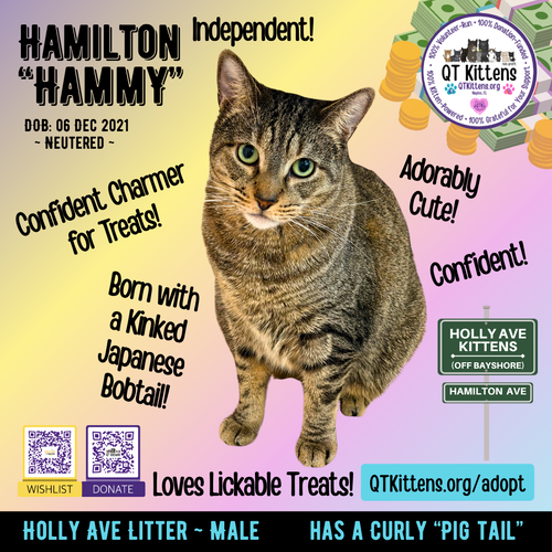 Hamilton photo 10