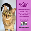Foo Foo (Le Fou) - Photo 17