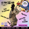 Foo Foo (Le Fou) - Photo 11