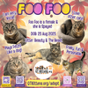Foo Foo (Le Fou) - Photo 3
