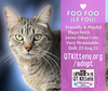 Foo Foo (Le Fou) - Photo 25
