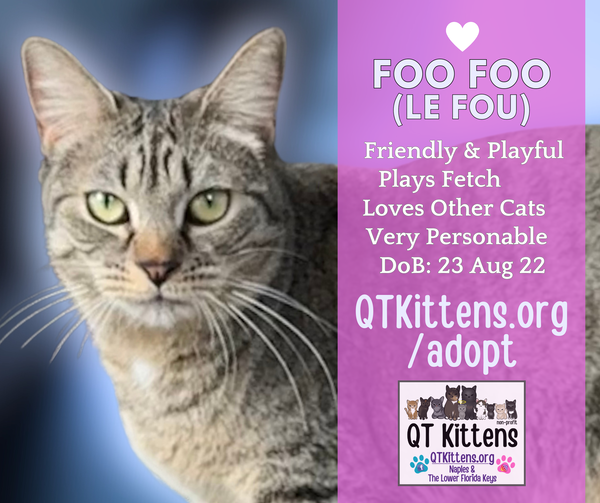 Foo Foo (Le Fou)
