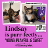 Lindsay - Photo 19