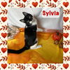 adoptable Cat in Panama City, FL named Sylvia