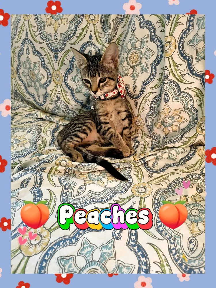 Peaches