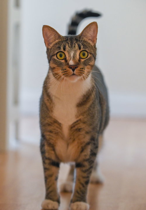 Photo 6 of Gretchen