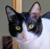 Spot - Photo 2