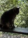 Jumper - Photo 4