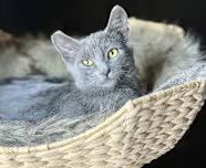 Photo of Sasha (CP)