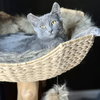 Sasha (CP) - Photo 2