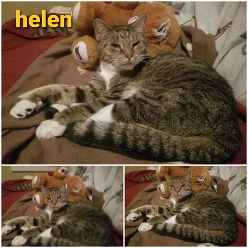 Helen