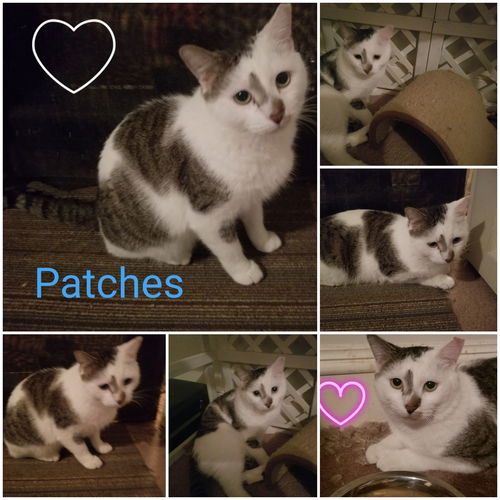 Patches