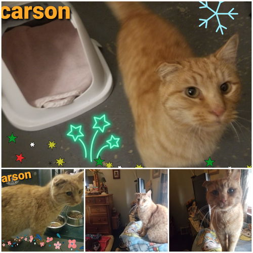 Carson