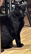 Tiberius
