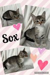 Sox