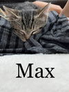 Max