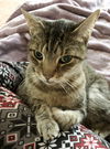 Leonard