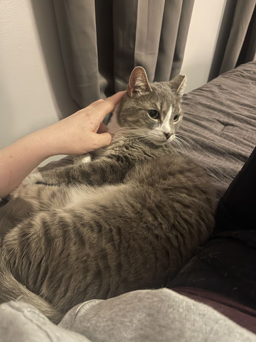 Precious