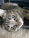 Sophie