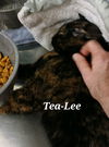 Tea-Lee