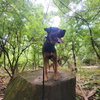 Asher