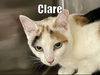 Clare