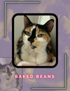 Baked Beans