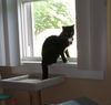 Millie