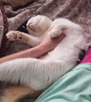 Freya