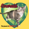 Emerald