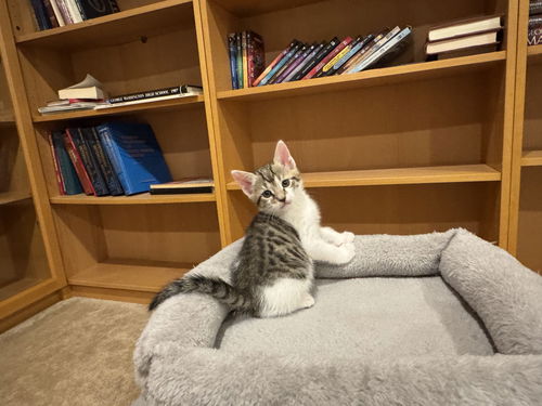 Duncan