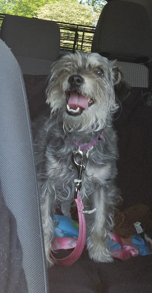Tia